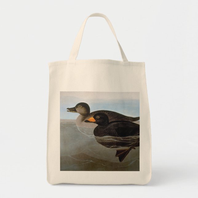Audubon: Svart Scoter Tygkasse (Framsidan)