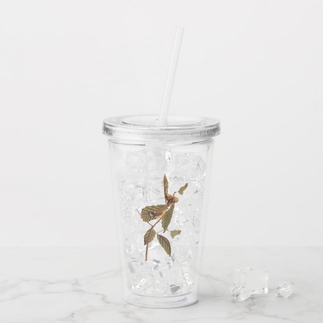 Audubon Swainsons Warbler Bird på Oak Gren Take Away Mugg (Baksida Ice)