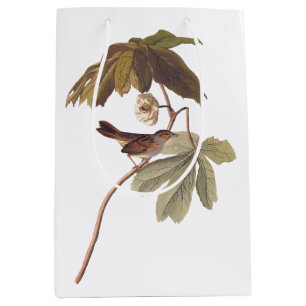 Audubon Swamp Sparrow Bird on Vild Mandrake