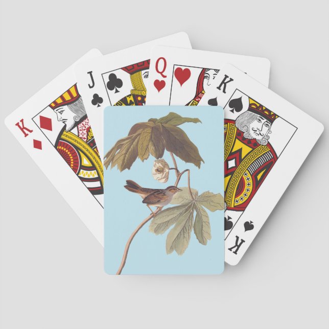 Audubon Swamp Sparrow Bird on Vild Mandrake Casinokort (Baksidan)