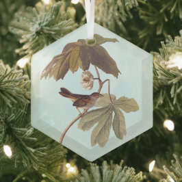 Audubon Swamp Sparrow Bird on Vild Mandrake Julgransdekoration