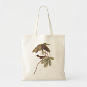 Audubon Swamp Sparrow Bird on Vild Mandrake Tygkasse