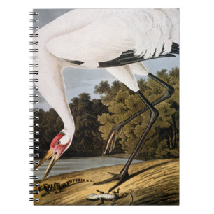 Audubon: Tjuta kranen Anteckningsbok Med Spiral