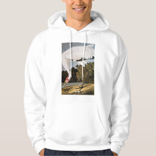 Audubon: Tjuta kranen Sweatshirt Med Luva