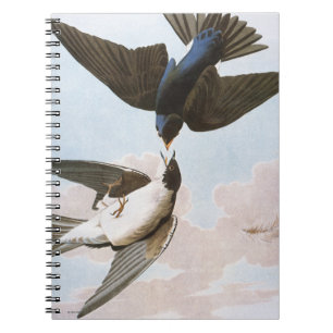 Audubon: Trädsvala Anteckningsbok Med Spiral