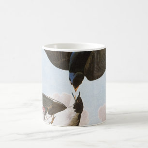 Audubon: Trädsvala Kaffemugg