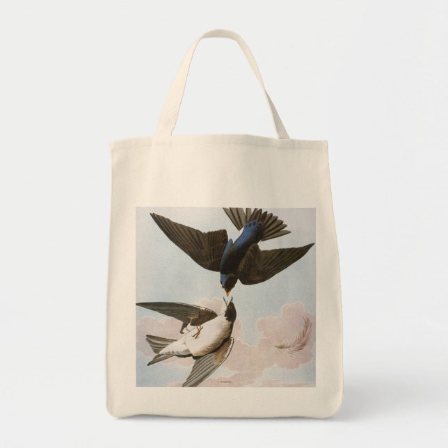 Audubon: Trädsvala Tygkasse (Framsidan)