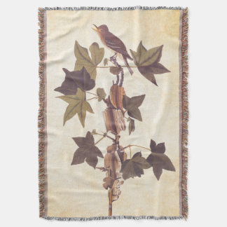 Audubon Traill's Flycatcher Songbird Filt