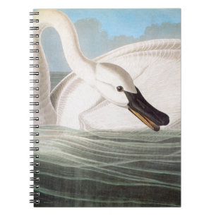 Audubon: Trumpetaresvan Anteckningsbok Med Spiral