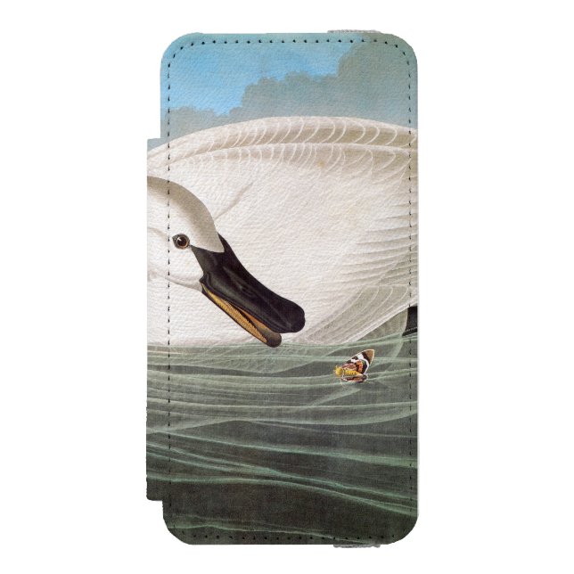 Audubon: Trumpetaresvan Incipio iPhone Wallet Skal (Folio Framsidan)