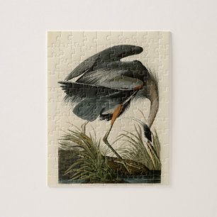 Audubon Underbar Blue Heron Birds Pussel