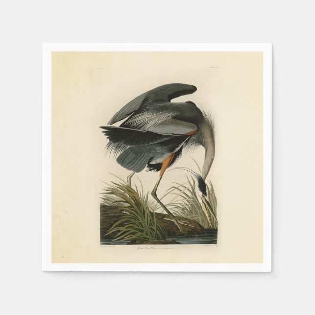 Audubon Underbar Blue Heron Marsh Bird Pappersservett (Framsidan)