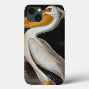 Audubon: Underbar vit pelican