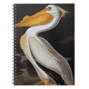 Audubon: Underbar vitpelikan Anteckningsbok