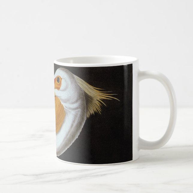 Audubon: Underbar vitpelikan Kaffemugg (Höger)