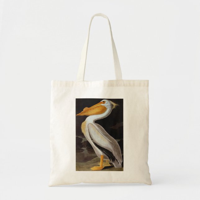 Audubon: Underbar vitpelikan Tygkasse (Framsidan)