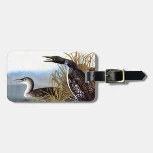 Audubon: Vanligt Loon Bagagebricka