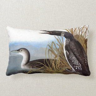 Audubon: Vanligt Loon Lumbarkudde
