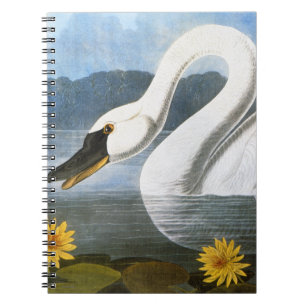 Audubon: Vanligt svan Anteckningsbok