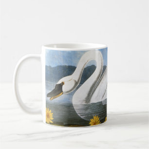 Audubon: Vanligt svan Kaffemugg