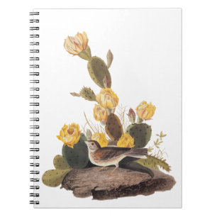 Audubon Vesper Sparrow och Prickly Pear Cactus Anteckningsbok