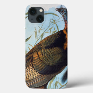 Audubon: Vild Turkiet