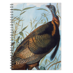 Audubon: Vild Turkiet Anteckningsbok Med Spiral