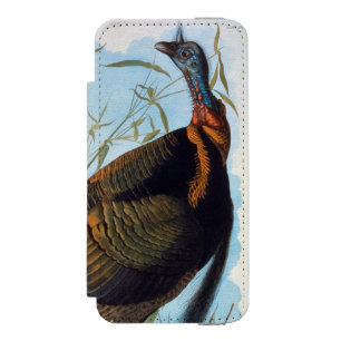 Audubon: Vild Turkiet