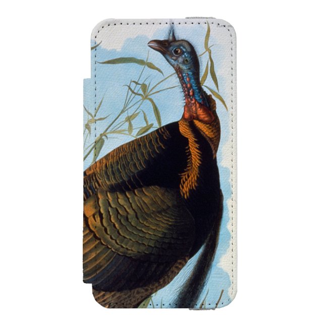 Audubon: Vild Turkiet Incipio iPhone Wallet Skal (Folio Framsidan)