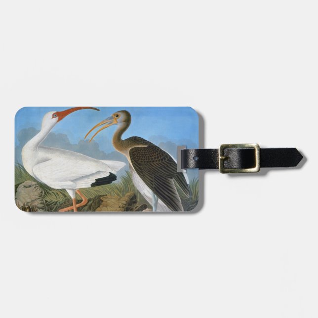 Audubon: Vit Ibis Bagagebricka (Horisontell Framsida)