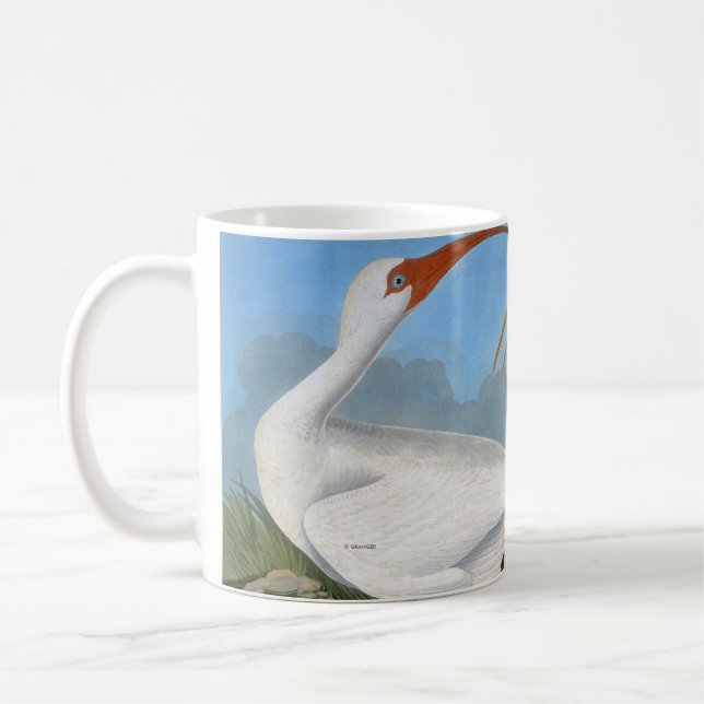 Audubon: Vit Ibis Kaffemugg (Vänster)