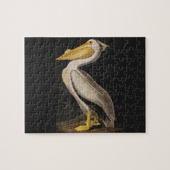 Audubon Vit tryck av vit pelikanfågel Pussel (Horisontell)