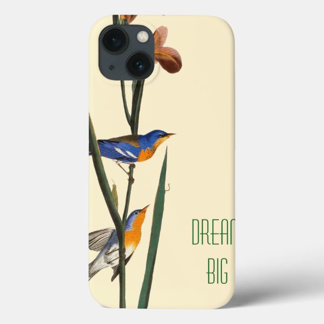 Audubon: Warbler (Baksida)
