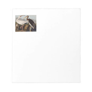 Audubon White Ibis Anteckningsblock