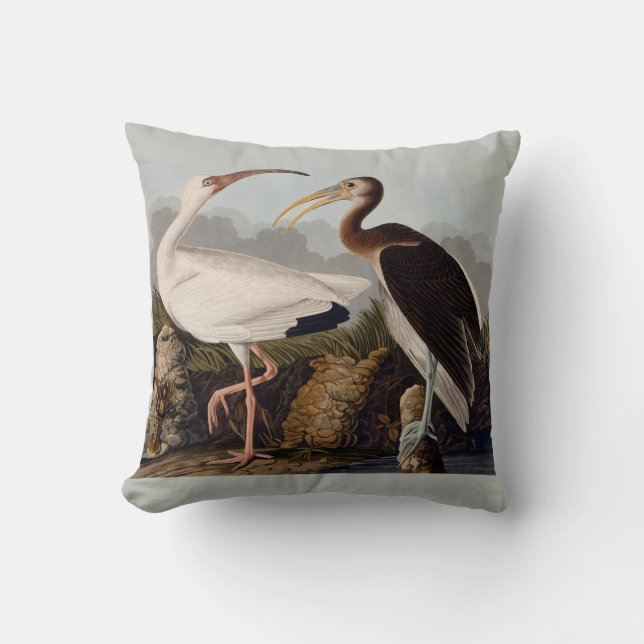 Audubon White Ibis Bird Wildlife Kudde (Framsida)