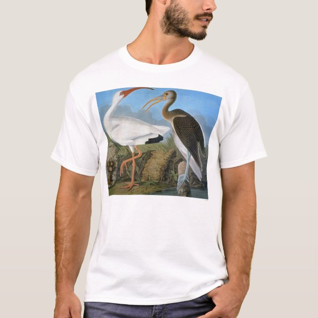 Audubon: White Ibis T-shirt (Framsida)