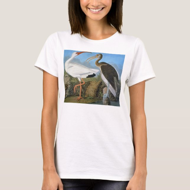 Audubon: White Ibis Tee Shirt (Framsida)