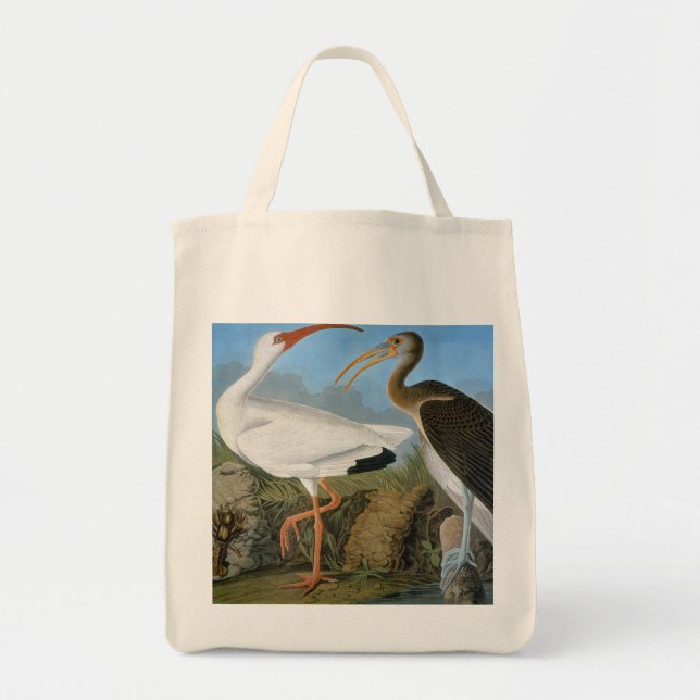 Audubon: White Ibis Tygkasse (Framsidan)