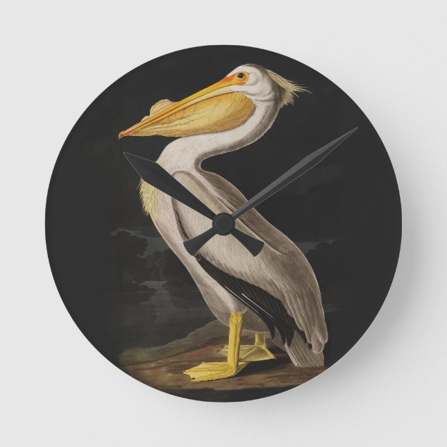 Audubon White Pelican Bird America Rund Klocka (Framsida)