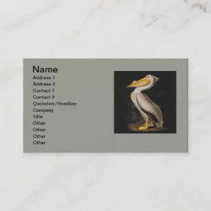 Audubon White Pelican Bird America Visitkort