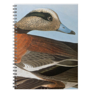Audubon: Wigeon Anteckningsbok