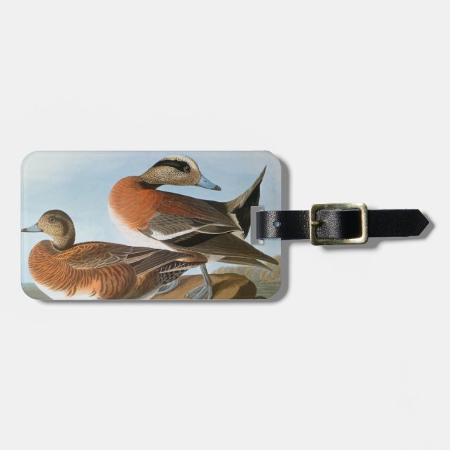 Audubon: Wigeon Bagagebricka (Horisontell Framsida)