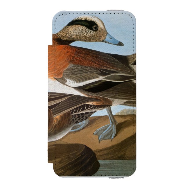 Audubon: Wigeon Incipio iPhone Wallet Skal (Folio Framsidan)
