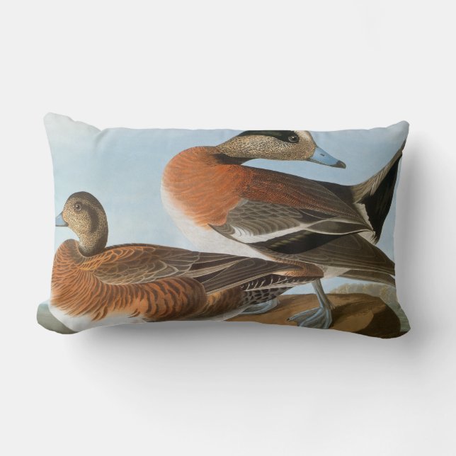 Audubon: Wigeon Lumbarkudde (Framsida)