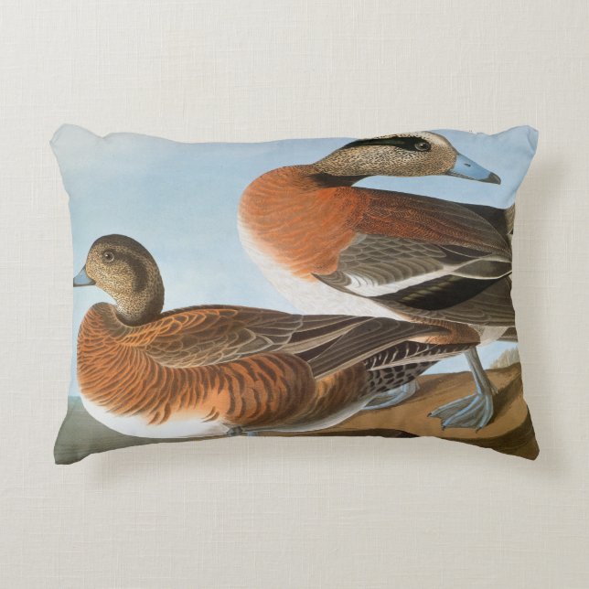 Audubon: Wigeon Prydnadskudde (Framsidan)