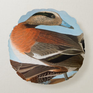 Audubon: Wigeon Rund Kudde