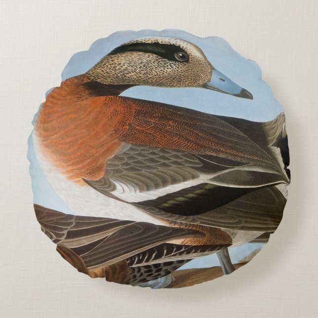 Audubon: Wigeon Rund Kudde (Framsidan)