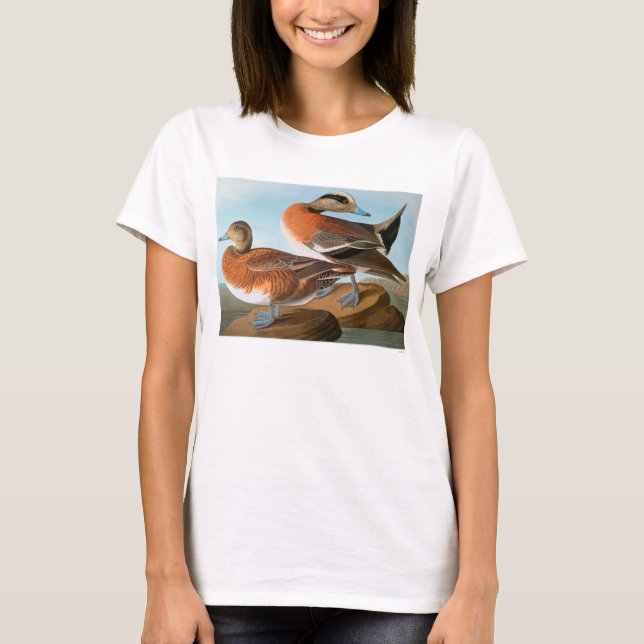 Audubon: Wigeon Tee Shirt (Framsida)