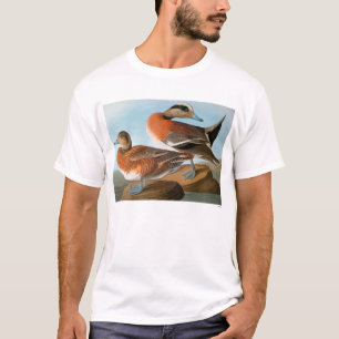 Audubon: Wigeon Tröja
