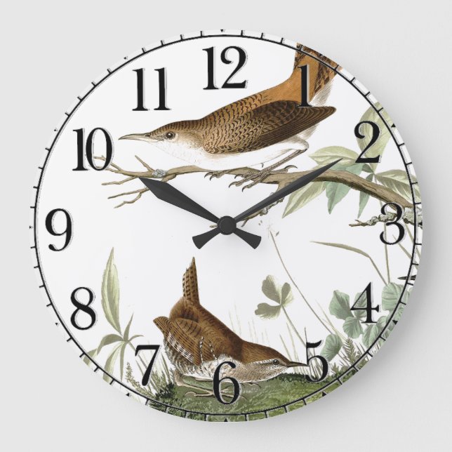 Audubon Wren Birds Animal Wildlife Wall Clock Stor Klocka (Framsida)